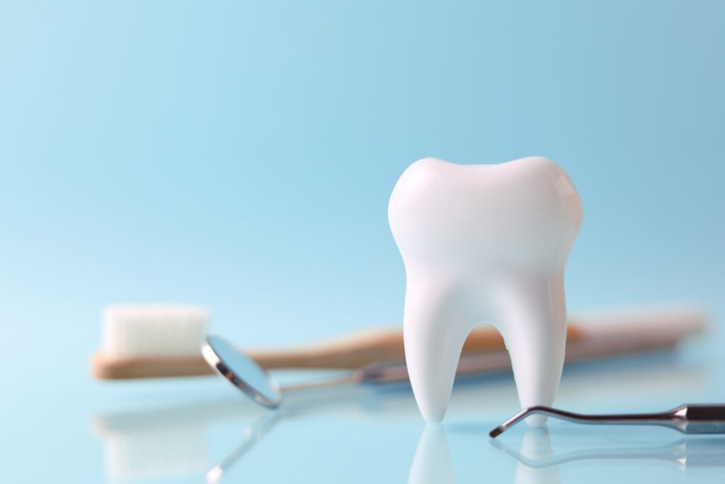 image of a model tooth and dentists tools